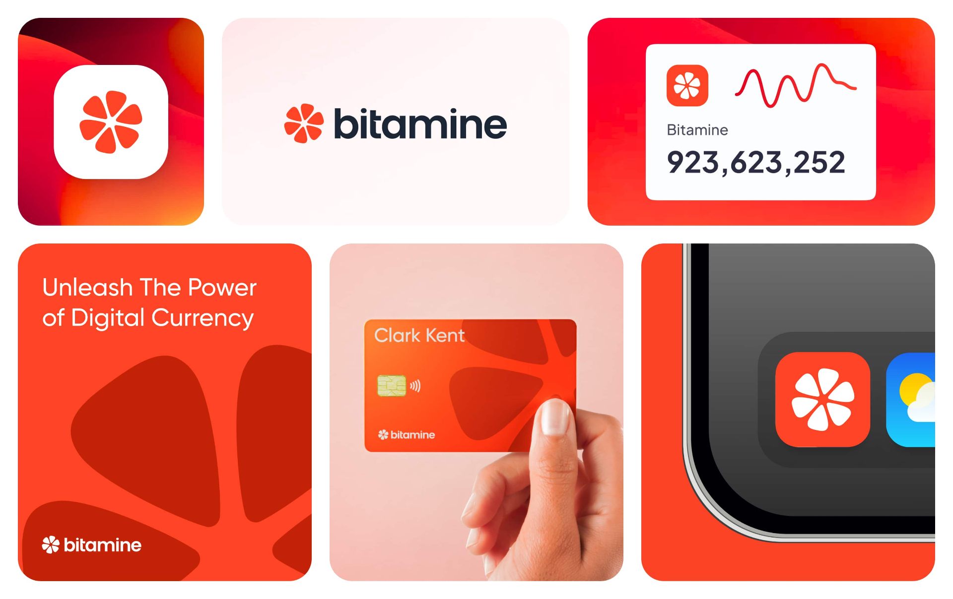 Case study brand identity Bitamine — Fintech